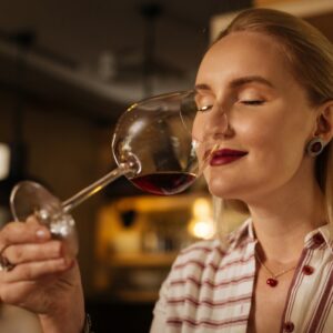 Ludivinum dégustation de vin