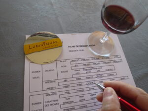 vocabulaire du vin, parler du vin